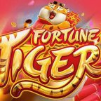 Fortune Tiger #3