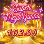 M.L.A Slots Premium