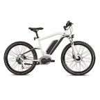Bicicletas Eléctricas (eBikes)