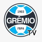 JOGOS DO GRÊMIO (AO VIVO)