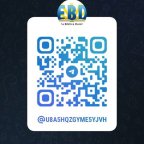 GRUPO de LIVROS e E.B.D. E Biblias