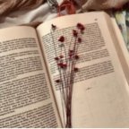 Livros em pdf