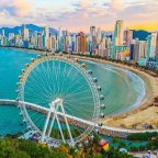 Negócios Balneário Camboriú e Região